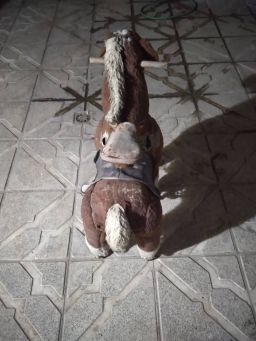 اسب پدالی متحرک